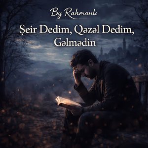 Şeir Dedim Qəzəl Dedim Gəlmədin